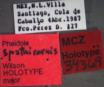 Media type: image;   Entomology 34369 Aspect: labels